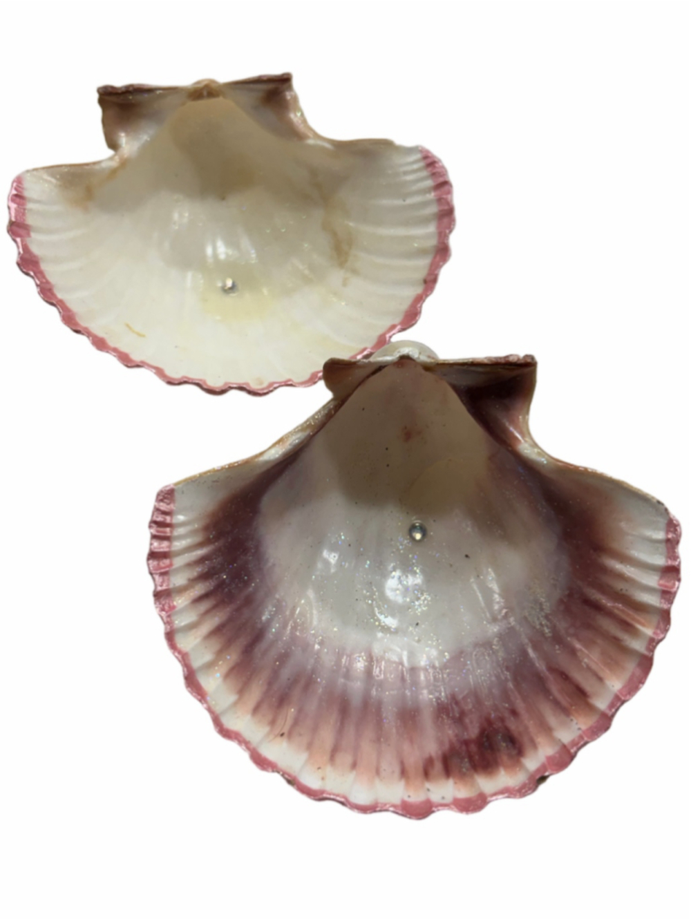 Hand Painted Seashell Ring Dishes Set of 2 Pink Trim Shimmer Gem Coastal Decor